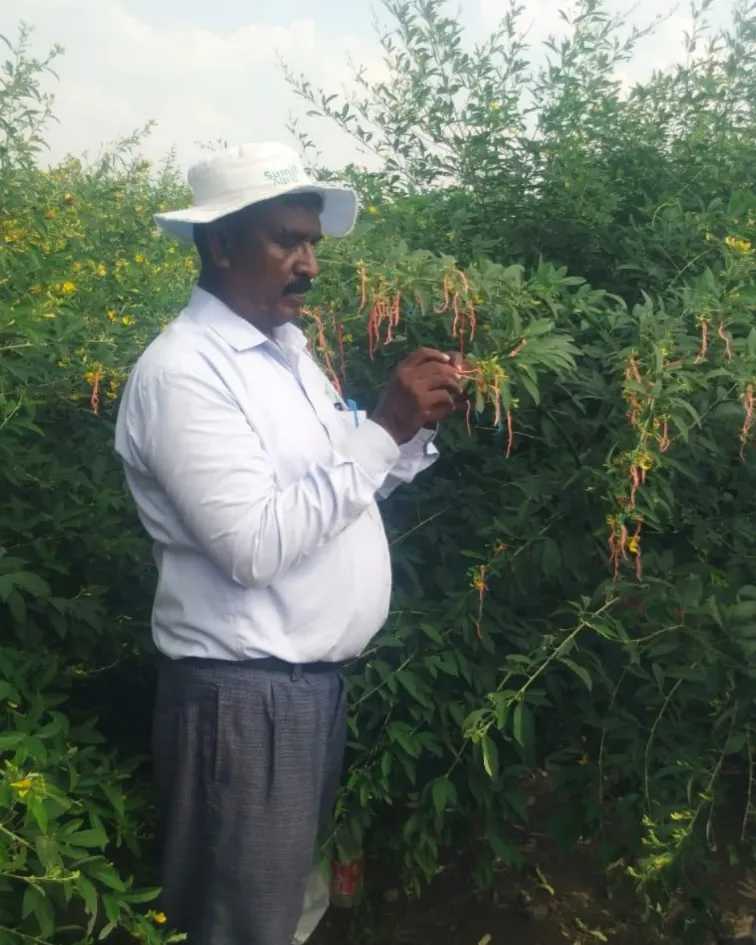 Suman-Agro-Seeds-R&D(6)